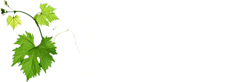 SAS LE RAY-GAL logo