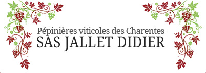 JALLET DIDIER logo
