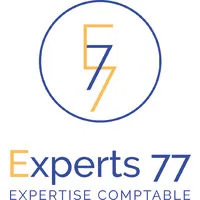 EXPERTS ET CONSEILS EN SEINE ET MARNE (EXPERTS 77) logo