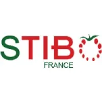 STIBO logo