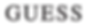 L.V.L.M (OPTIC 2000) logo