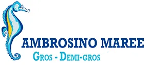AMBROSINO MAREE logo