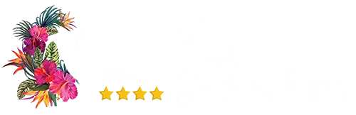 CARAIBES BONHEUR logo