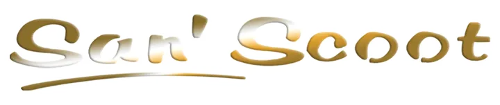 SAN'SCOOT logo