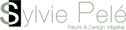 CELEFLEURS logo
