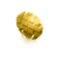 BUCKMINSTER FINANCE (BUCKMINSTER  BUCKMINSTER FINANCE) logo