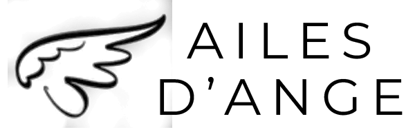 AILES D'ANGE logo
