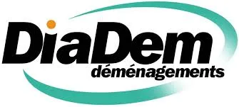 DAILYMOVE (DailyDem) logo