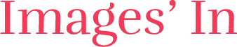 SARL IMAGES IN logo