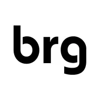 BE RESILIENT GROUP (BRG) (BRG) logo