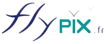 LAILLE VIVIEN logo