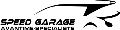 GIVORS OUEST OCCASION ET DAVANTAGE (GIVORS OUEST OCCASION ET DAVANTAGE) logo
