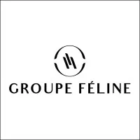FELINE FINANCE SERVICES logo