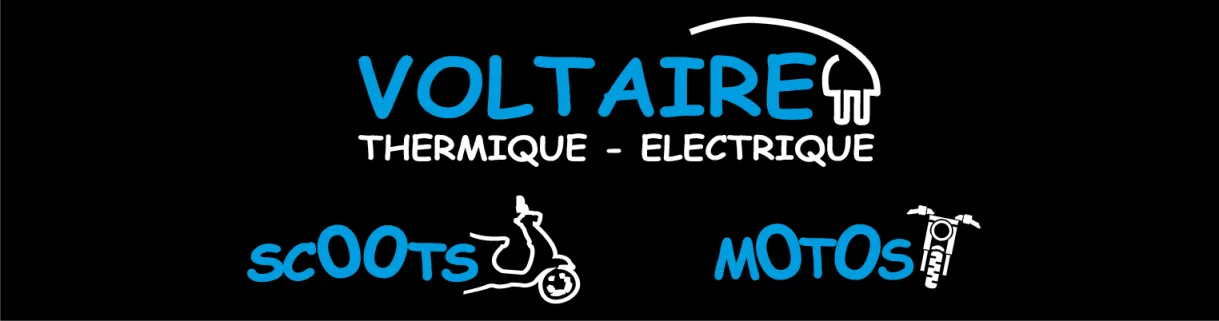 PSE VOLTAIRE logo