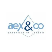 AEX & CO (AUDEXECO.FR AUDEXECO.COM AUDEXPERCO.FR) logo