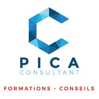 PICA CONSULTANT SARL (PICA-CONSULTANT) logo