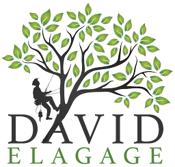 UHLMANN DAVID logo