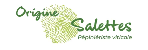 PEPINIERES VITICOLES SALETTES logo