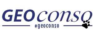 GEO CONSO (GEO CONSO) logo