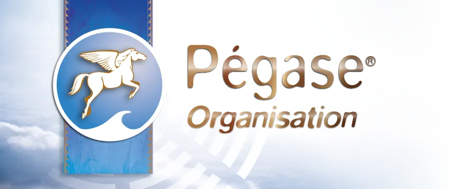 PEGASE (META MUSIC THERAPY) logo