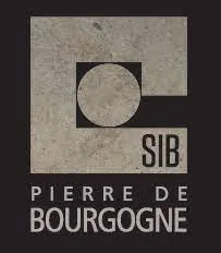 S.I.B. logo