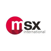 MSX INTERNATIONAL BUSINESS SERVICES FRANCE logo
