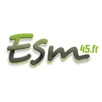 ENSEIGNES SERVICE MAINTENANCE SARL (ESM) logo