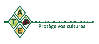 ASSISTANCE EN TRAVAUX DIVERS EXTERIEURS (ATDE) logo