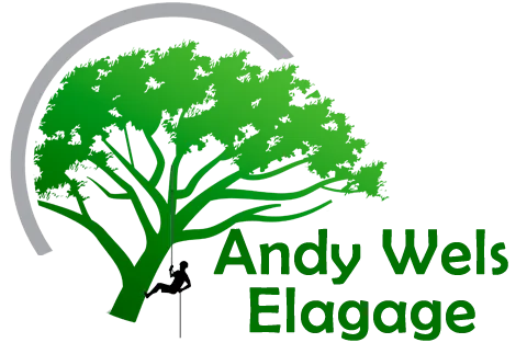 WELS ANDY logo