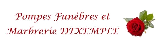 DEXEMPLE logo