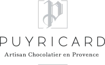 SAS PUYCHOC logo