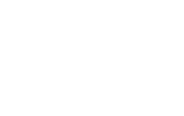 SAS LESTAPIS ET COMPAGNIE logo