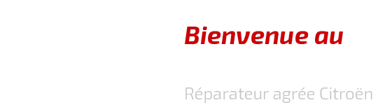 GARAGE MEYER logo