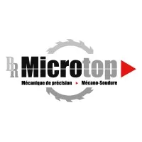 BR MICROTOP (BR MICROTOP) logo