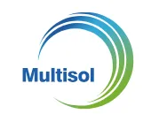 MULTISOL INTERNATIONAL SERVICES logo