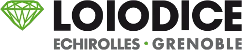 TDT INVEST logo