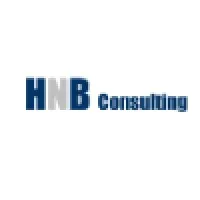 HNB CONSULTING logo