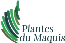 LES AROMATIQUES DE L'ILE DE BEAUTE logo