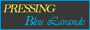 SARL NETADEG (PRESSING BLEU LAVANDE) logo