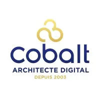 COBALT INFORMATIQUE & MULTIMEDIA logo