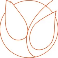 Voici le logo de la marque MISSION NUMERIQUE PAYS NIVERNAIS MORVAN qui représente son identité graphique.