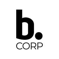 BRAINSONIC logo