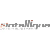 INTELLIQUE (STORIQ) logo