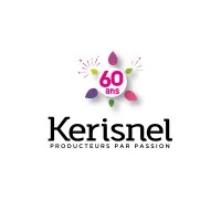 KERISNEL PARTICIPATIONS logo