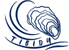 SCEO TIBIDY logo
