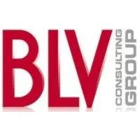BLV CONSULTING GROUP SARL logo