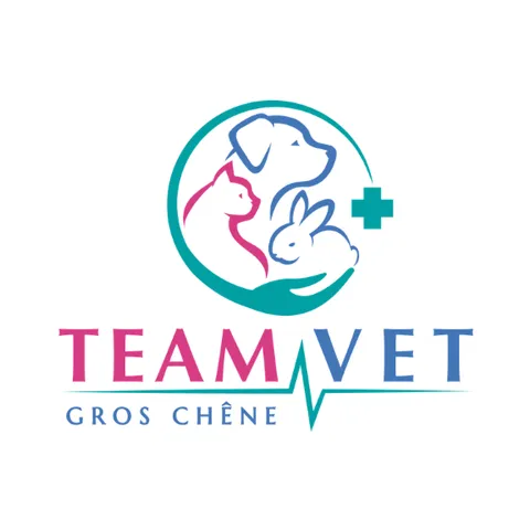 SAVET logo