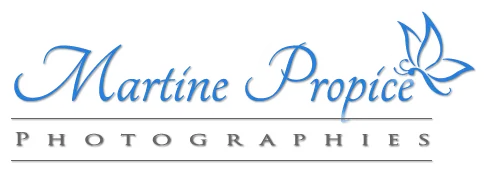 AMYSSE MARTINE logo