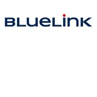 BLUELINK INTERNATIONAL
