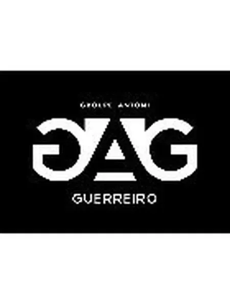 Voici le logo de la marque GROUPE ANTONI GUERREIRO qui représente son identité graphique.